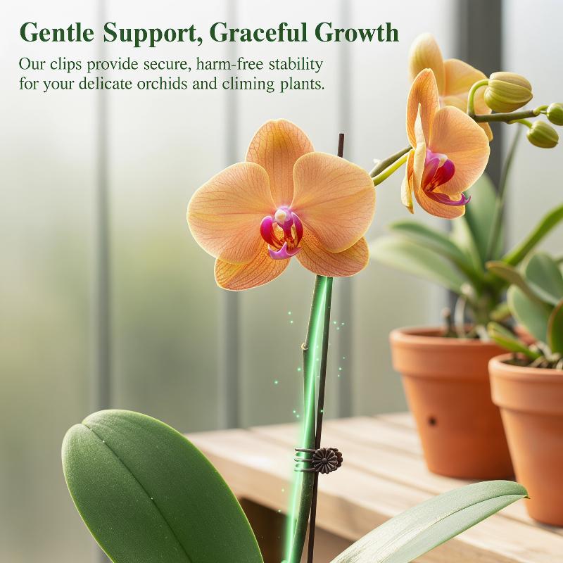 Home Improvement Hardware - 50Pcs Plant Fixed Clip Butterfly Orchid