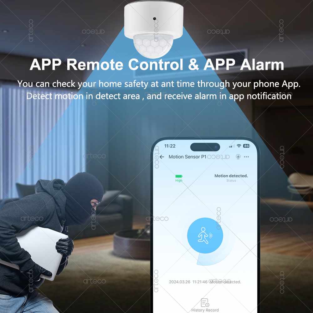 Ewelink Zigbee PIR Motion Sens – Home Improvement Hardware Bewertung und Preis